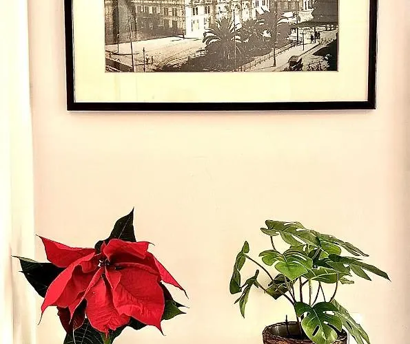 B8 Апартаменты *